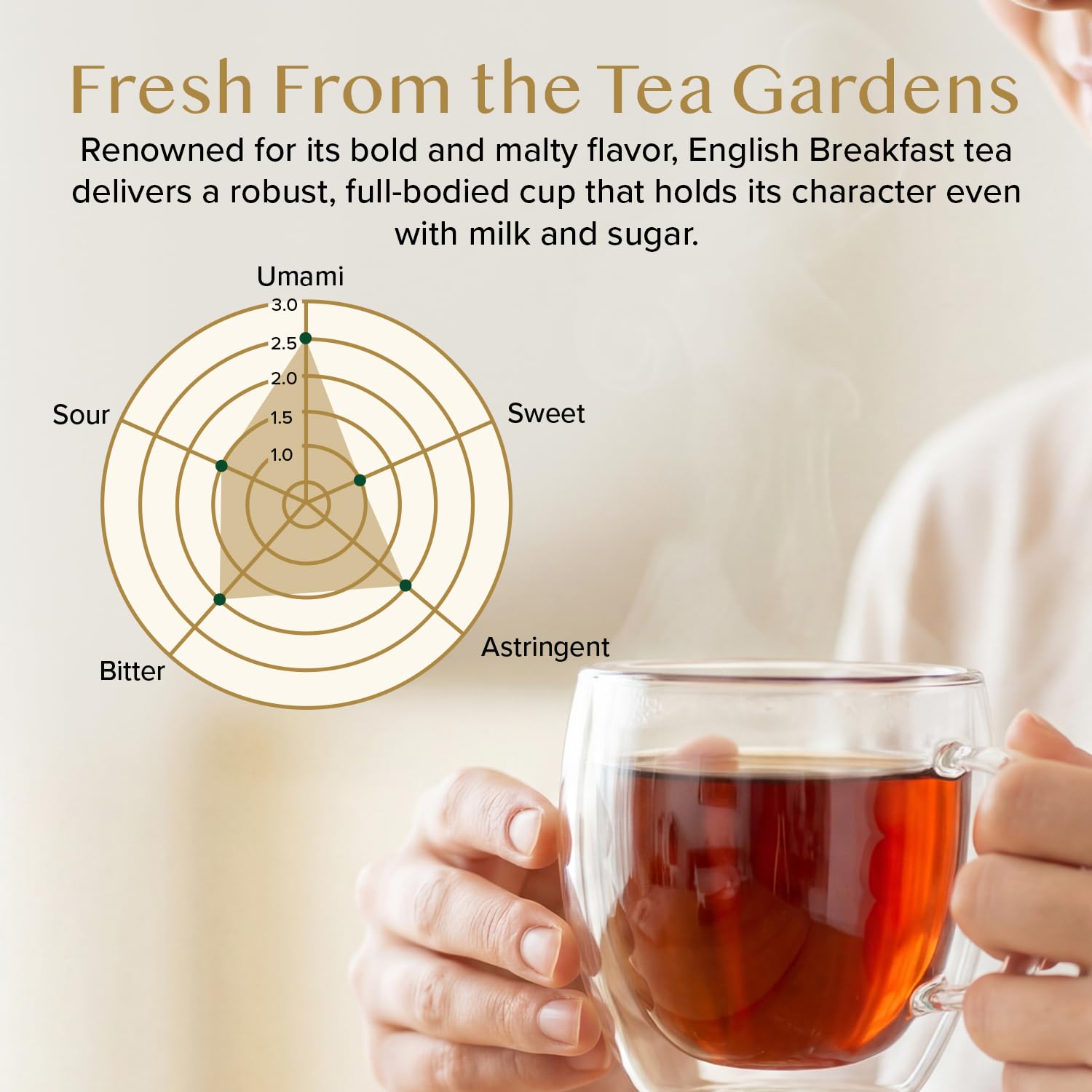 VAHDAM Loose Leaf Tea, 250g, Assorted Flavors, Black Tea and Chai, Direct from India - packaging (12)