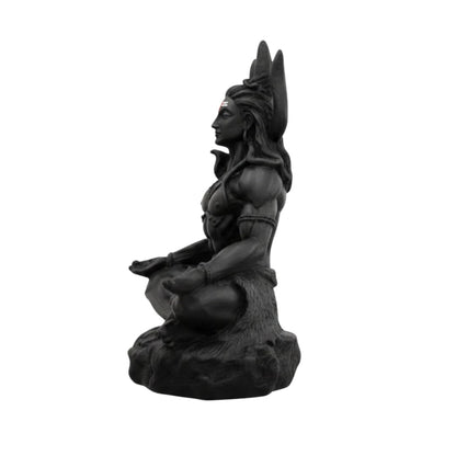 VAMA Siddh Mahadev Murti - 8.89 cm Black UV Resin Figurine for Car Dashboard or Home Mandir - in use