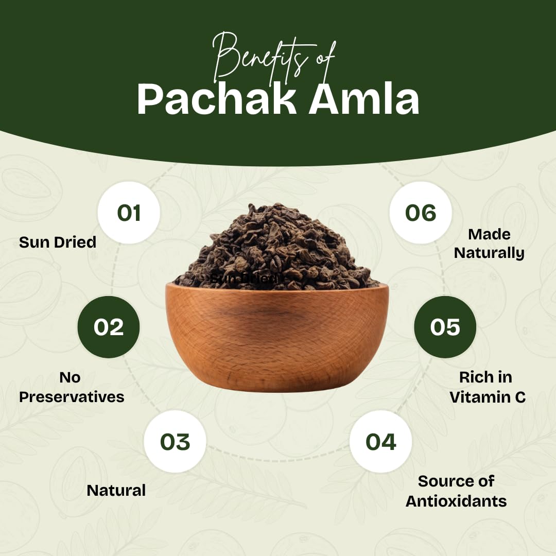 Vedcare Dried Amla Pachak Candy, Indian Gooseberry Snack, Seasoned with Black Salt and Spices - back view