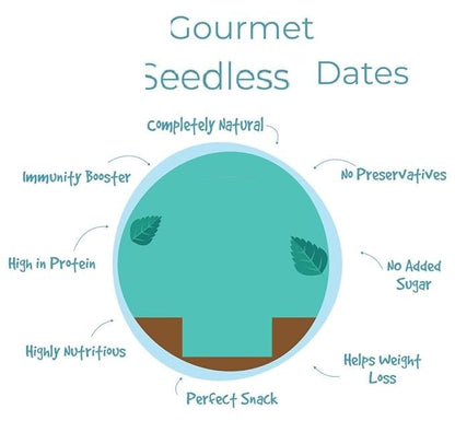 VI PRIME Seedless Dates, Natural Dried Fruit, No Added Sugar, Vegan Snack - back view (7)