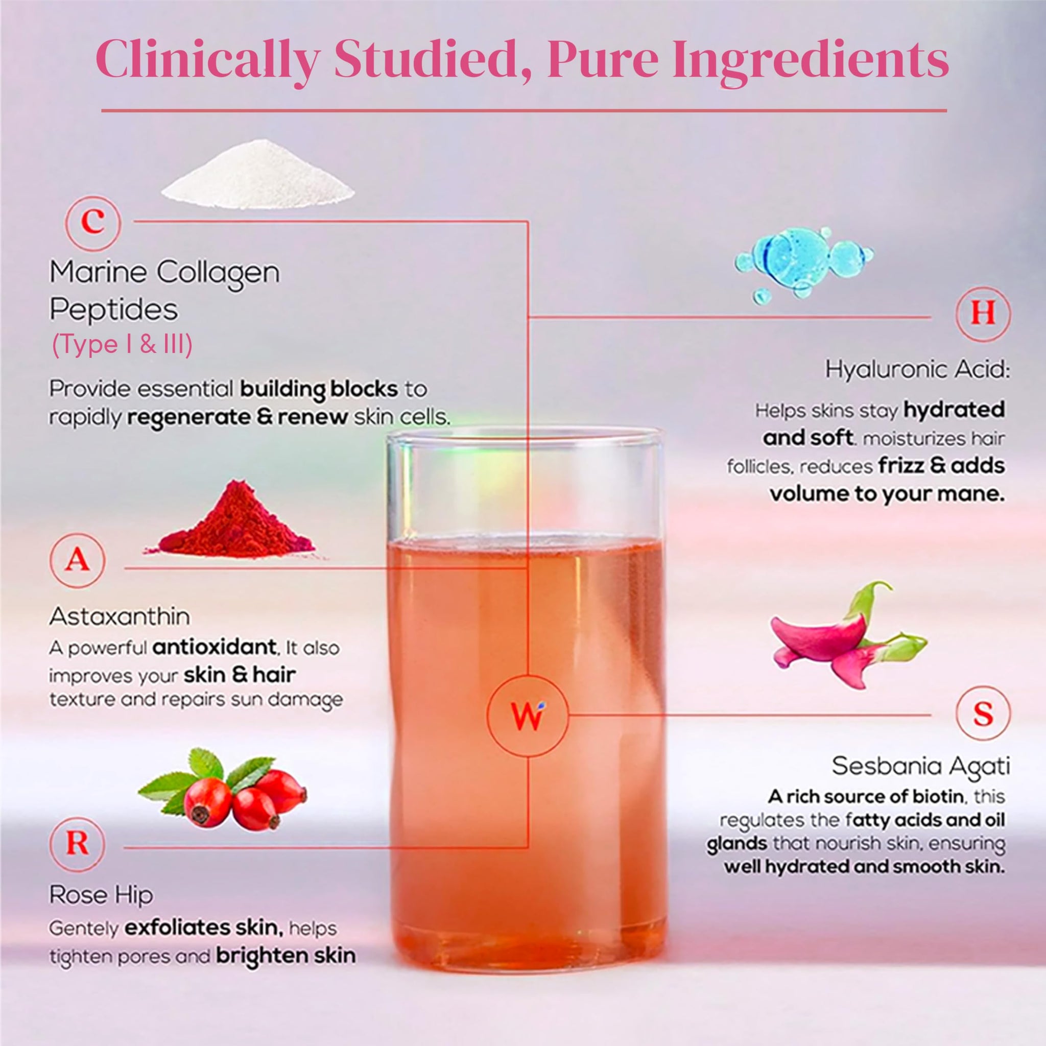 WELLBEING NUTRITION Beauty Korean Marine Collagen Powder, Type 1 & 3 Peptides, Strawberry Watermelon, 6 Sachets, 48g - close-