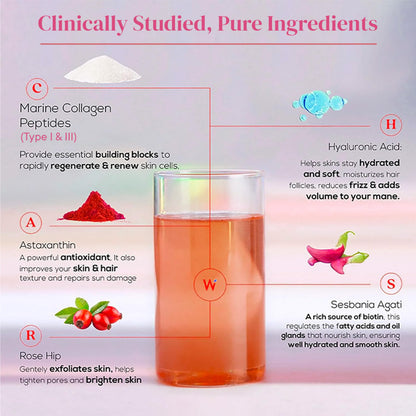 WELLBEING NUTRITION Beauty Korean Marine Collagen Powder, Type 1 & 3 Peptides, Strawberry Watermelon, 6 Sachets, 48g - close-