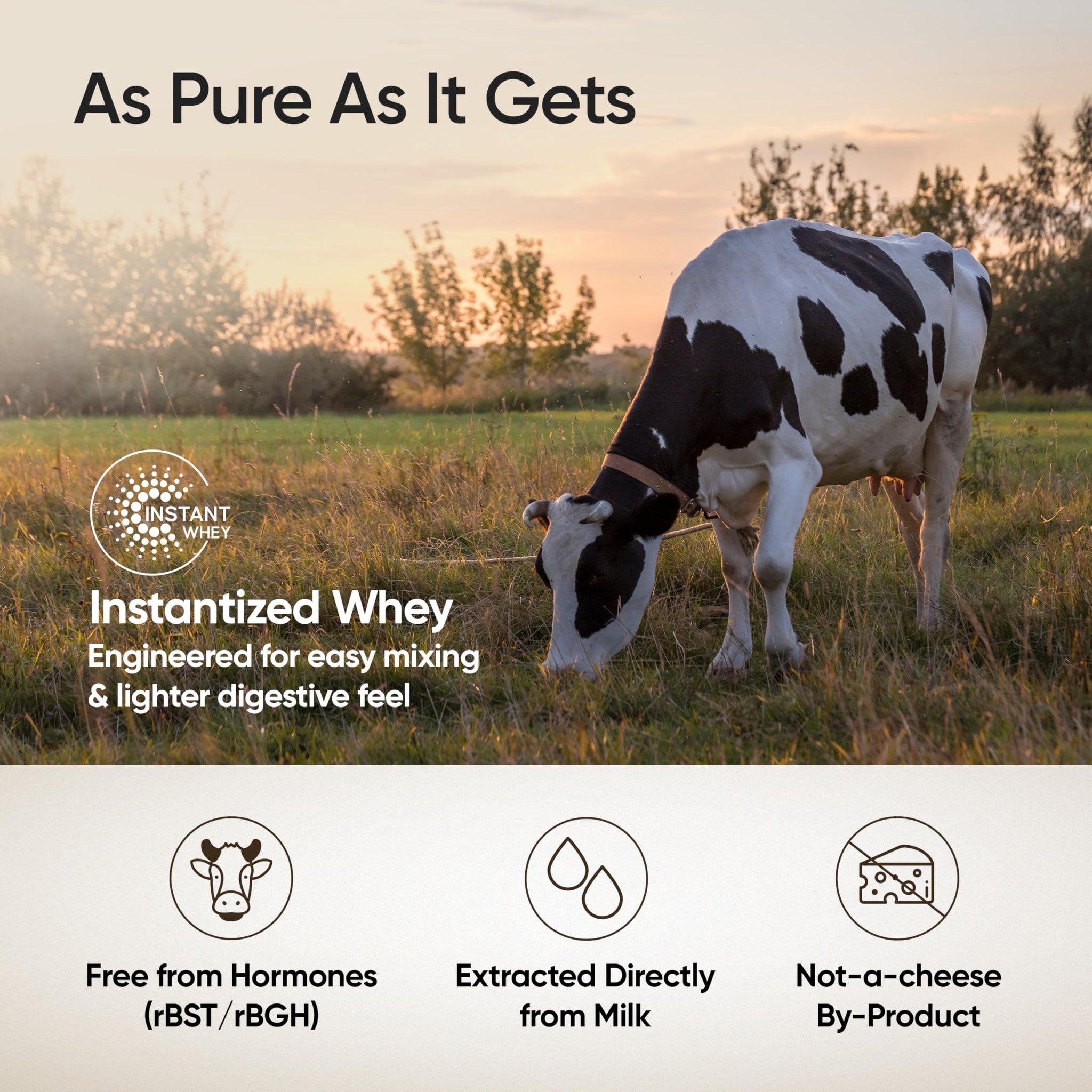 Wellbeing Nutrition Clean Whey Protein Concentrate, 1kg Unflavoured, with Probiotics & Digestive Enzymes, Clean Label Certifi