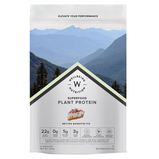 WELLBEING NUTRITION Organic Vegan Plant Protein Powder, Pea Rice Isolate with Superfoods, Digestive Enzymes, Adult Supplement