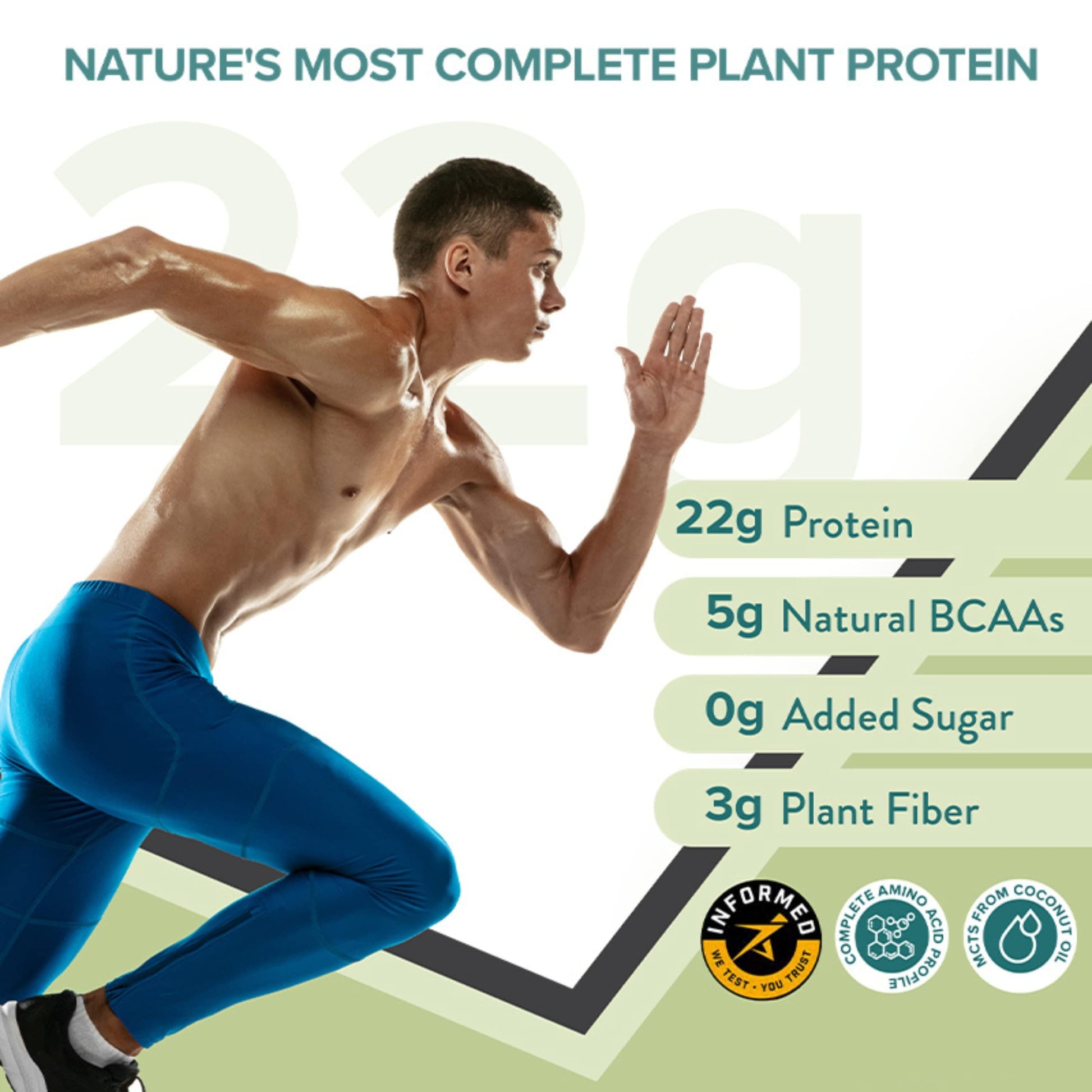 WELLBEING NUTRITION Organic Vegan Plant Protein Powder, Pea Rice Isolate with Superfoods, Digestive Enzymes, Adult Supplement