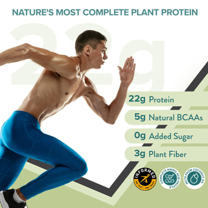 WELLBEING NUTRITION Organic Vegan Plant Protein Powder, Pea Rice Isolate with Superfoods, Digestive Enzymes, Adult Supplement