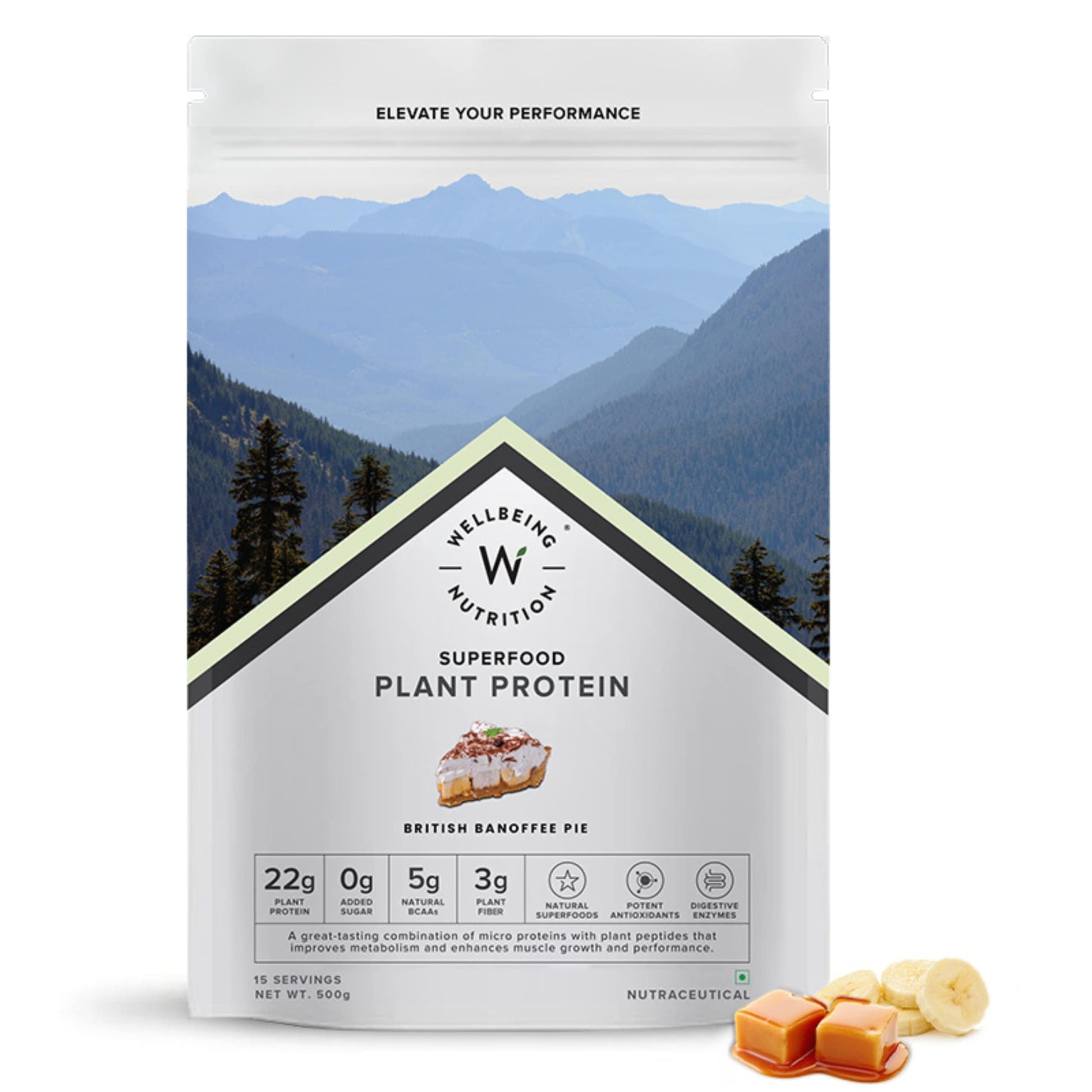 WELLBEING NUTRITION Organic Vegan Plant Protein Powder, Pea Rice Isolate with Superfoods, Digestive Enzymes, Adult Supplement