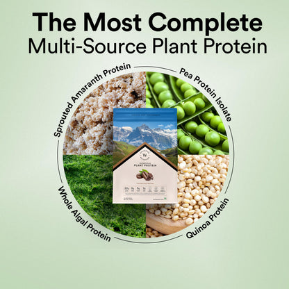 WELLBEING NUTRITION Organic Vegan Plant Protein Powder, Pea Rice Isolate with Superfoods, Digestive Enzymes, Adult Supplement
