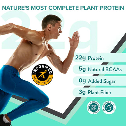 WELLBEING NUTRITION Organic Vegan Plant Protein Powder, Pea Rice Isolate with Superfoods, Digestive Enzymes, Adult Supplement