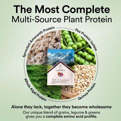 WELLBEING NUTRITION Organic Vegan Plant Protein Powder, Pea Rice Isolate with Superfoods, Digestive Enzymes, Adult Supplement