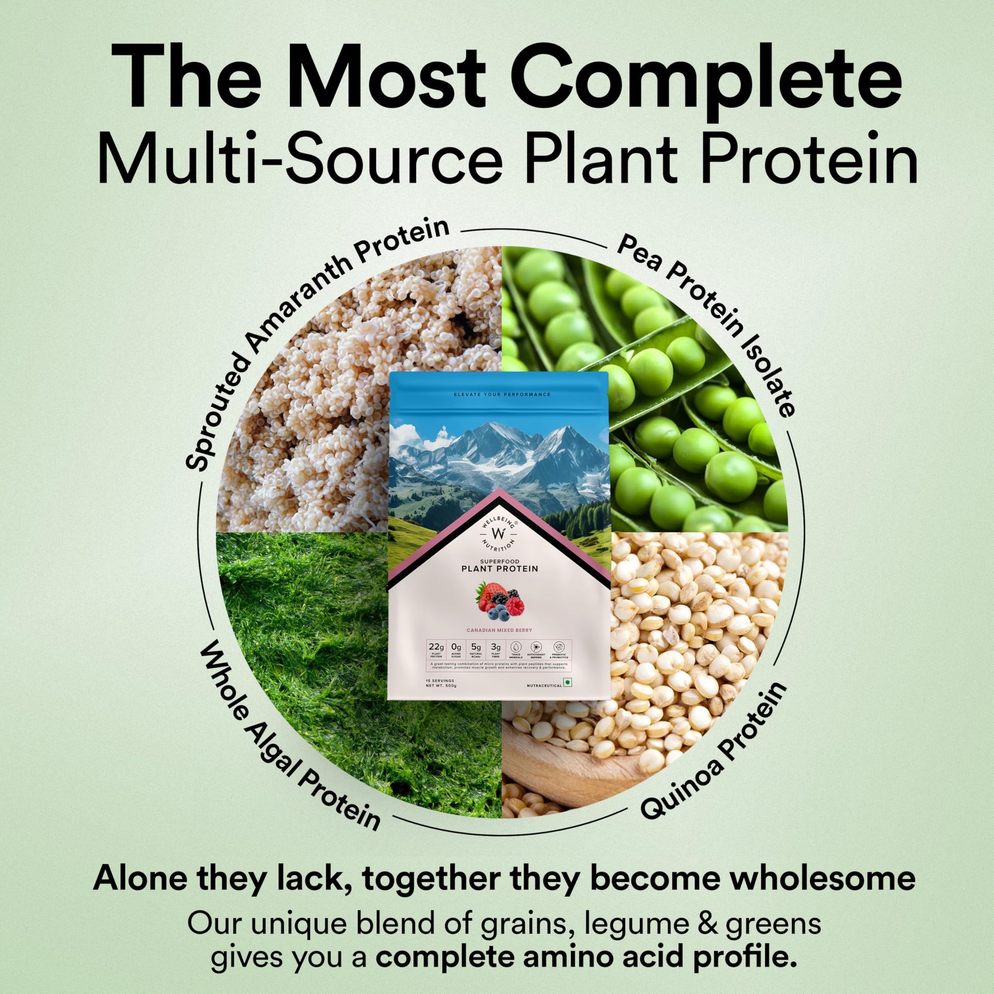 WELLBEING NUTRITION Organic Vegan Plant Protein Powder, Pea Rice Isolate with Superfoods, Digestive Enzymes, Adult Supplement