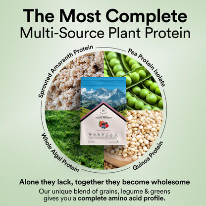 WELLBEING NUTRITION Organic Vegan Plant Protein Powder, Pea Rice Isolate with Superfoods, Digestive Enzymes, Adult Supplement