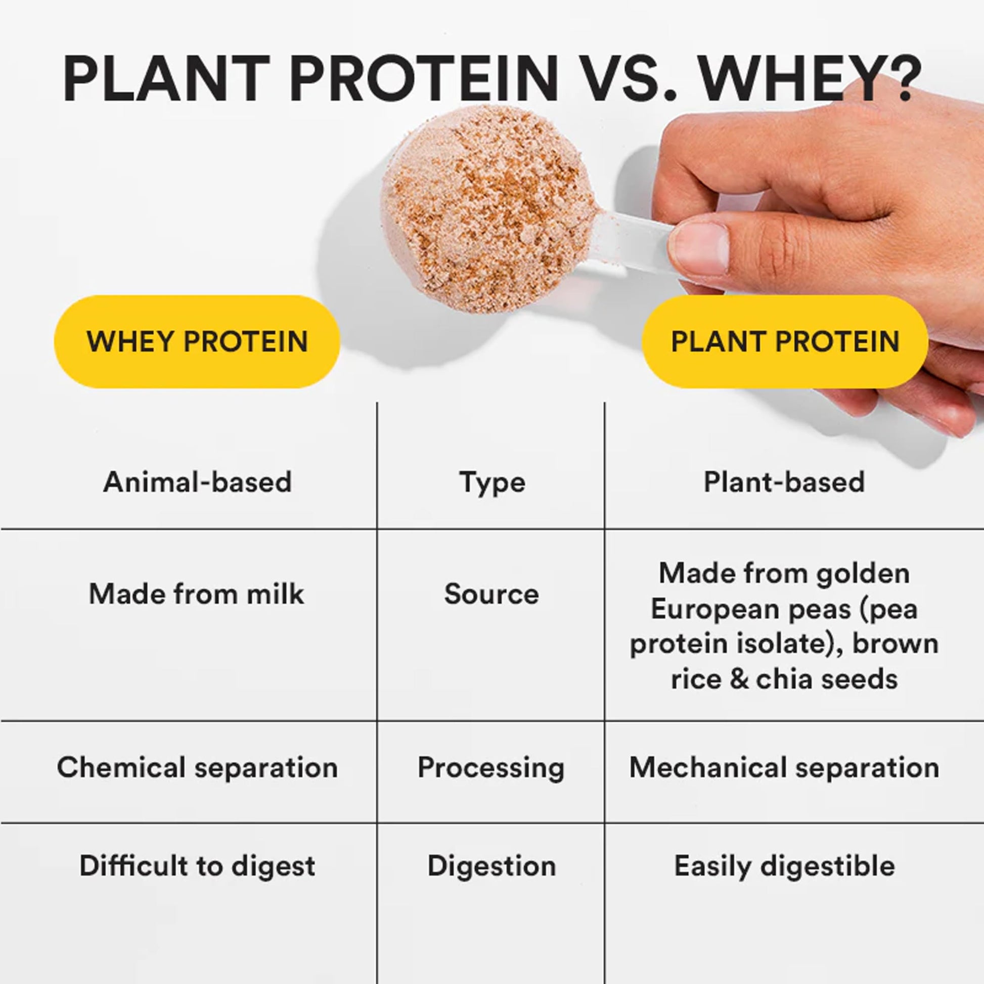 WELLBEING NUTRITION Organic Vegan Plant Protein Powder, Pea Rice Isolate with Superfoods, Digestive Enzymes, Adult Supplement
