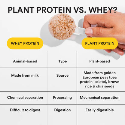 WELLBEING NUTRITION Organic Vegan Plant Protein Powder, Pea Rice Isolate with Superfoods, Digestive Enzymes, Adult Supplement