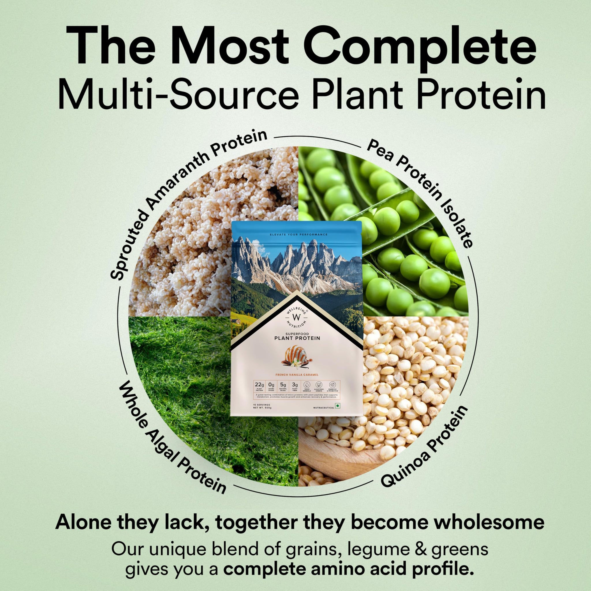 WELLBEING NUTRITION Organic Vegan Plant Protein Powder, Pea Rice Isolate with Superfoods, Digestive Enzymes, Adult Supplement