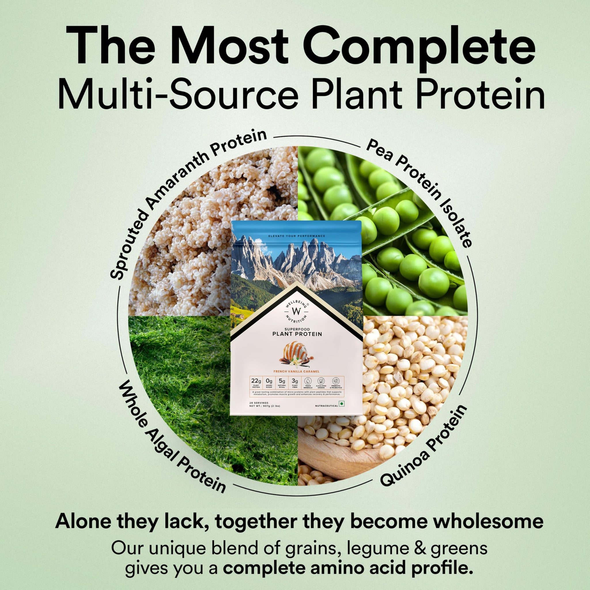 WELLBEING NUTRITION Organic Vegan Plant Protein Powder, Pea Rice Isolate with Superfoods, Digestive Enzymes, Adult Supplement