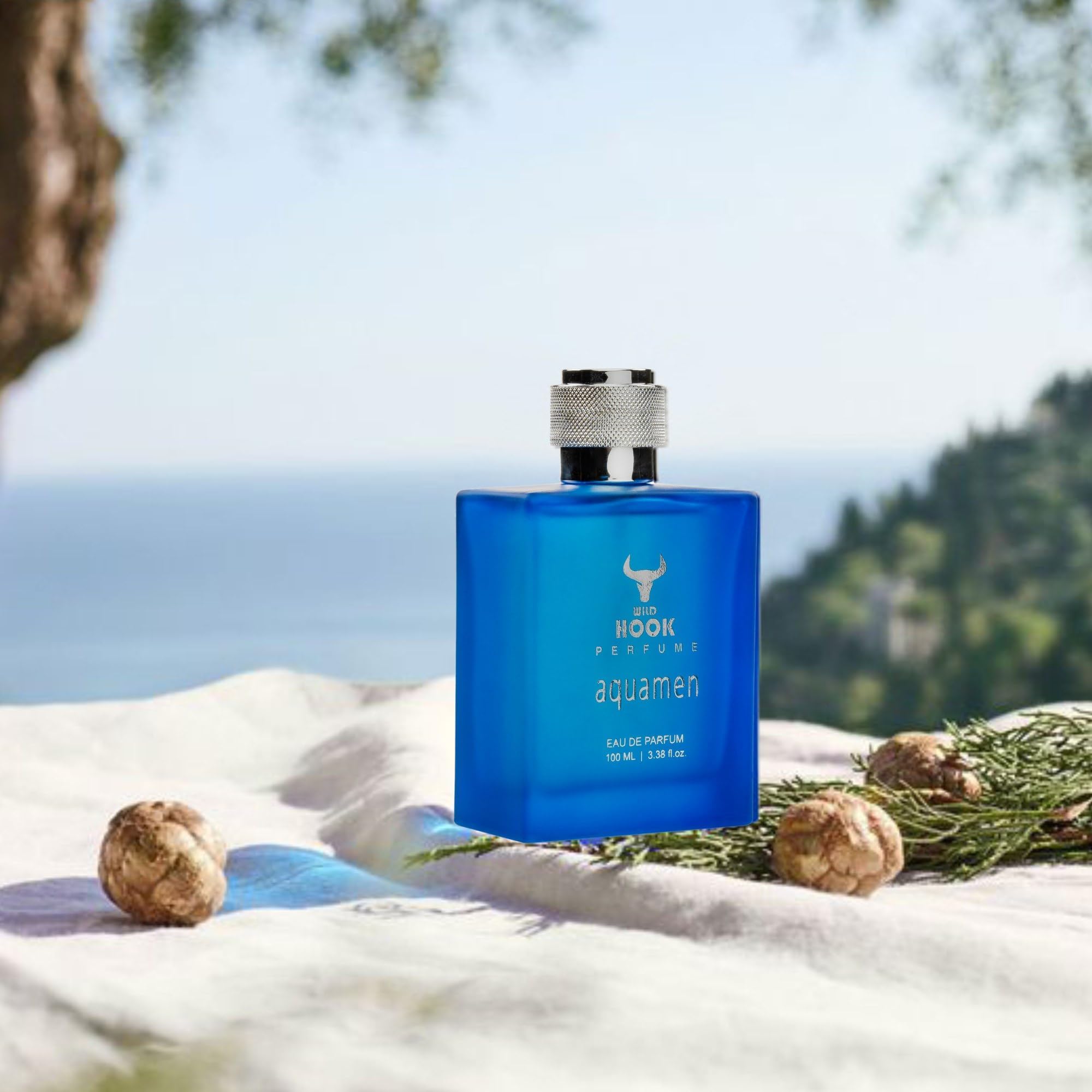 Wild Hook Aqua Men Eau de Parfum, 100ml, Modern Aqua Scent - label detail