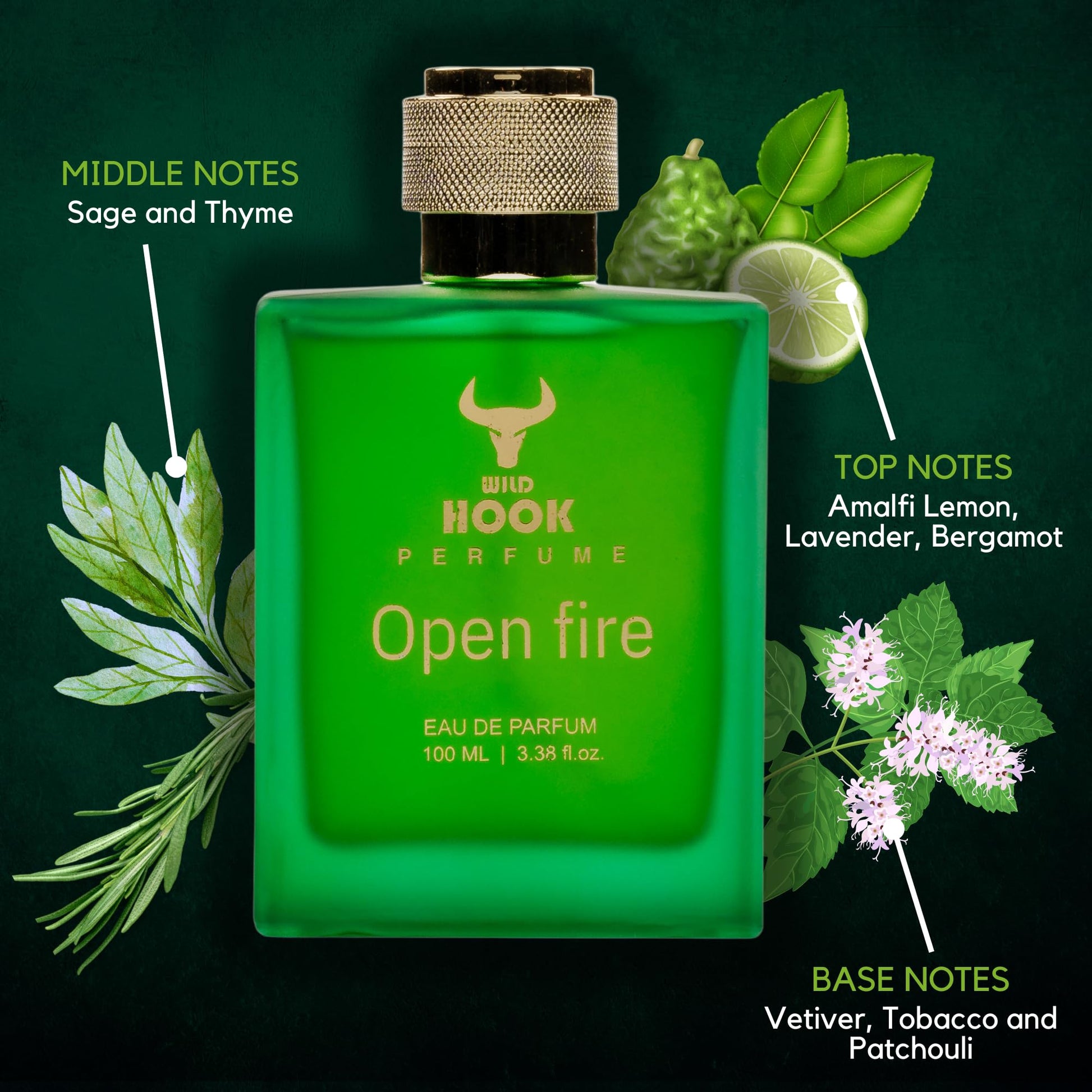 WILD HOOK Open Fire Eau De Parfum, 100ml, Alcohol-Free Natural Fragrance for Men - front view