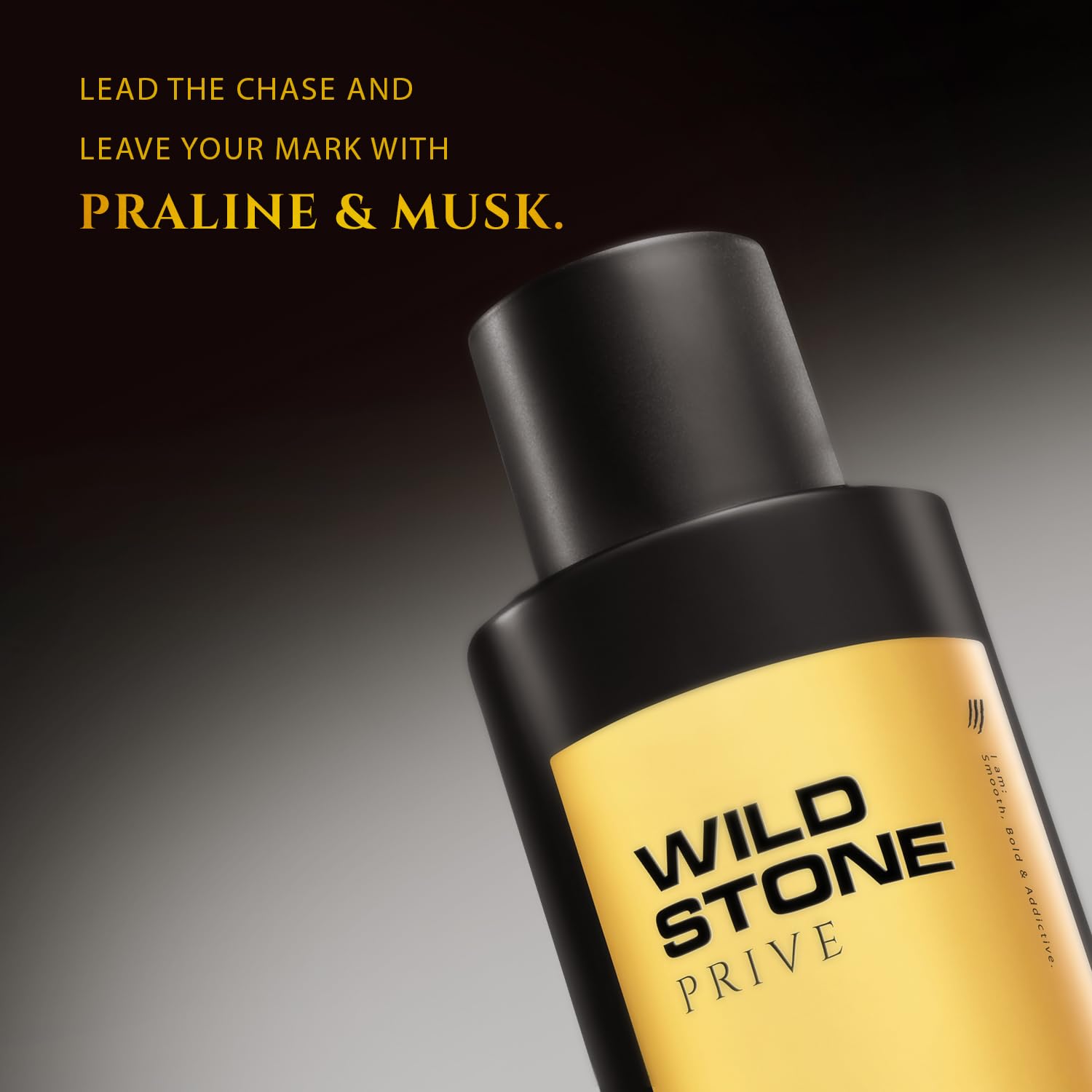 Wild Stone Prive Parfum for Men, 100ml, Over 20% Concentration, McNROE Consumer Products - back view (10)