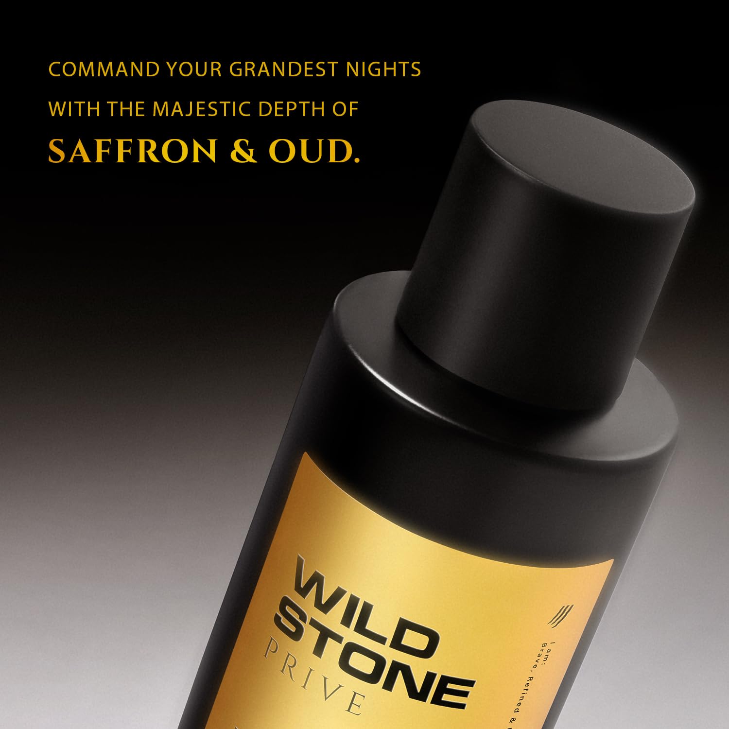 Wild Stone Prive Parfum for Men, 100ml, Over 20% Concentration, McNROE Consumer Products - back view (15)