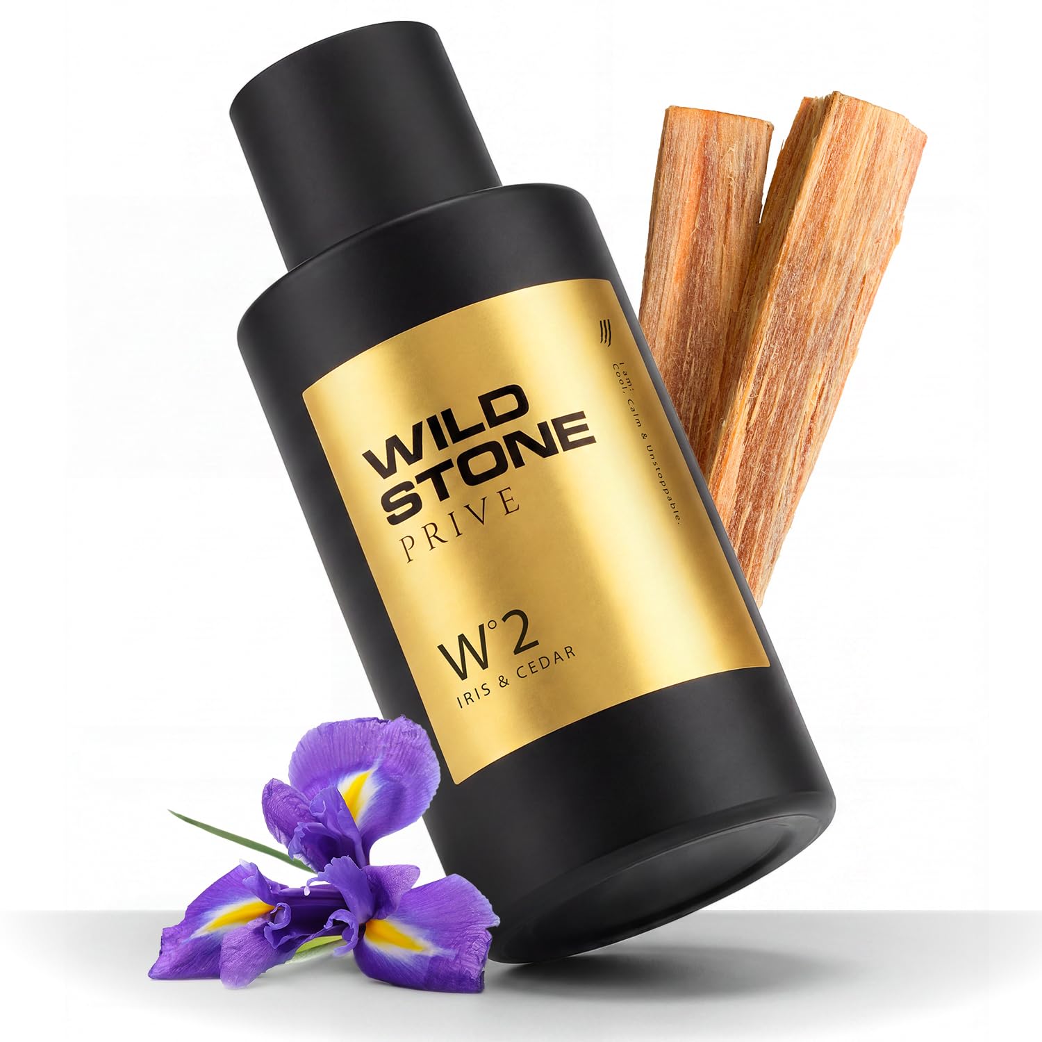 Wild Stone Prive Parfum for Men, 100ml, Over 20% Concentration, McNROE Consumer Products (18)