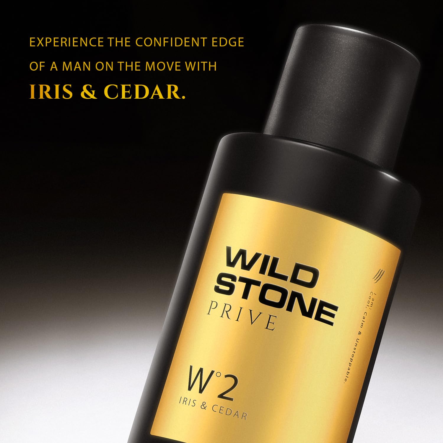 Wild Stone Prive Parfum for Men, 100ml, Over 20% Concentration, McNROE Consumer Products - back view (20)