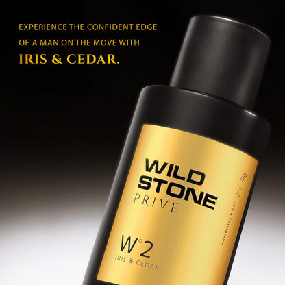Wild Stone Prive Parfum for Men, 100ml, Over 20% Concentration, McNROE Consumer Products - back view (20)
