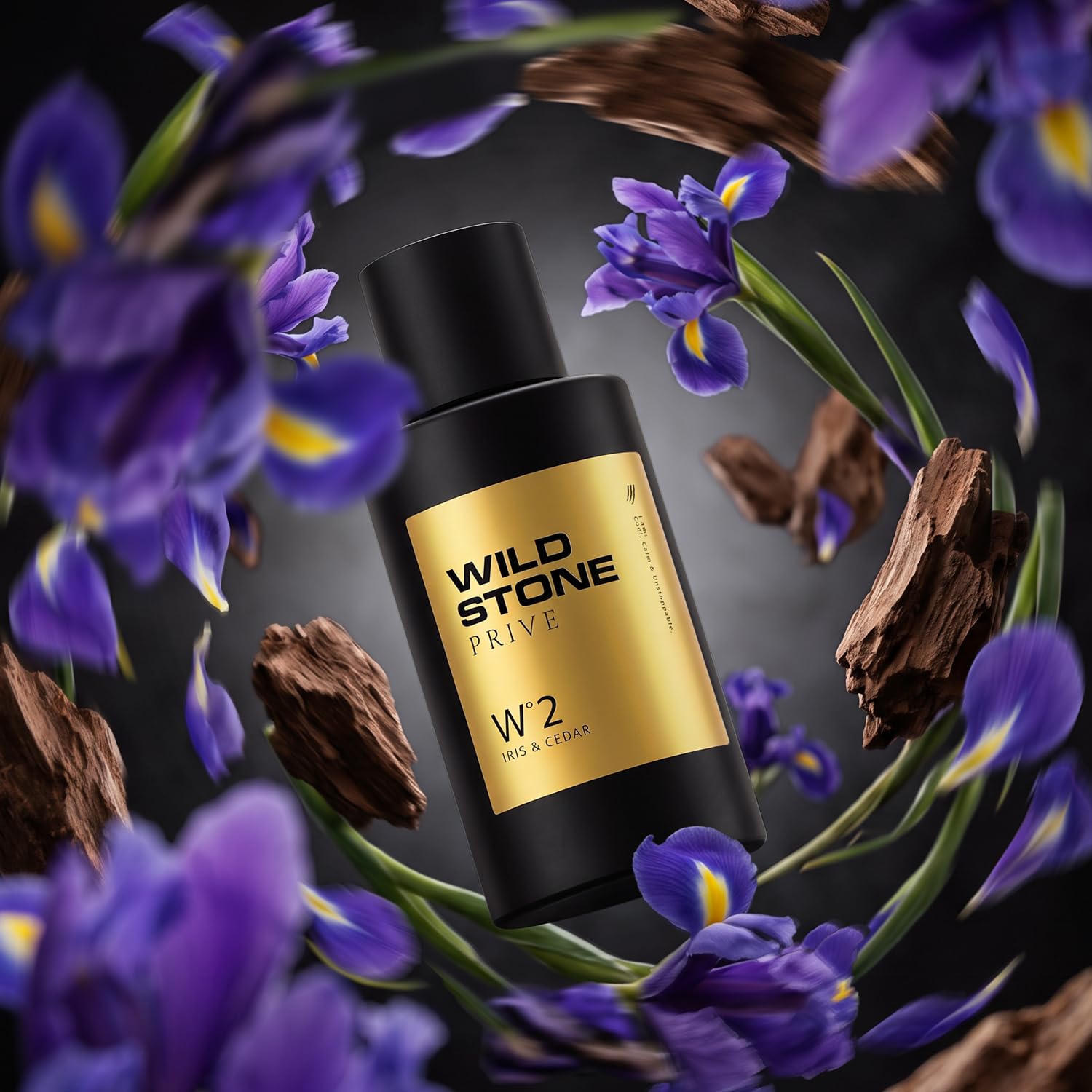 Wild Stone Prive Parfum for Men, 100ml, Over 20% Concentration, McNROE Consumer Products - packaging (21)