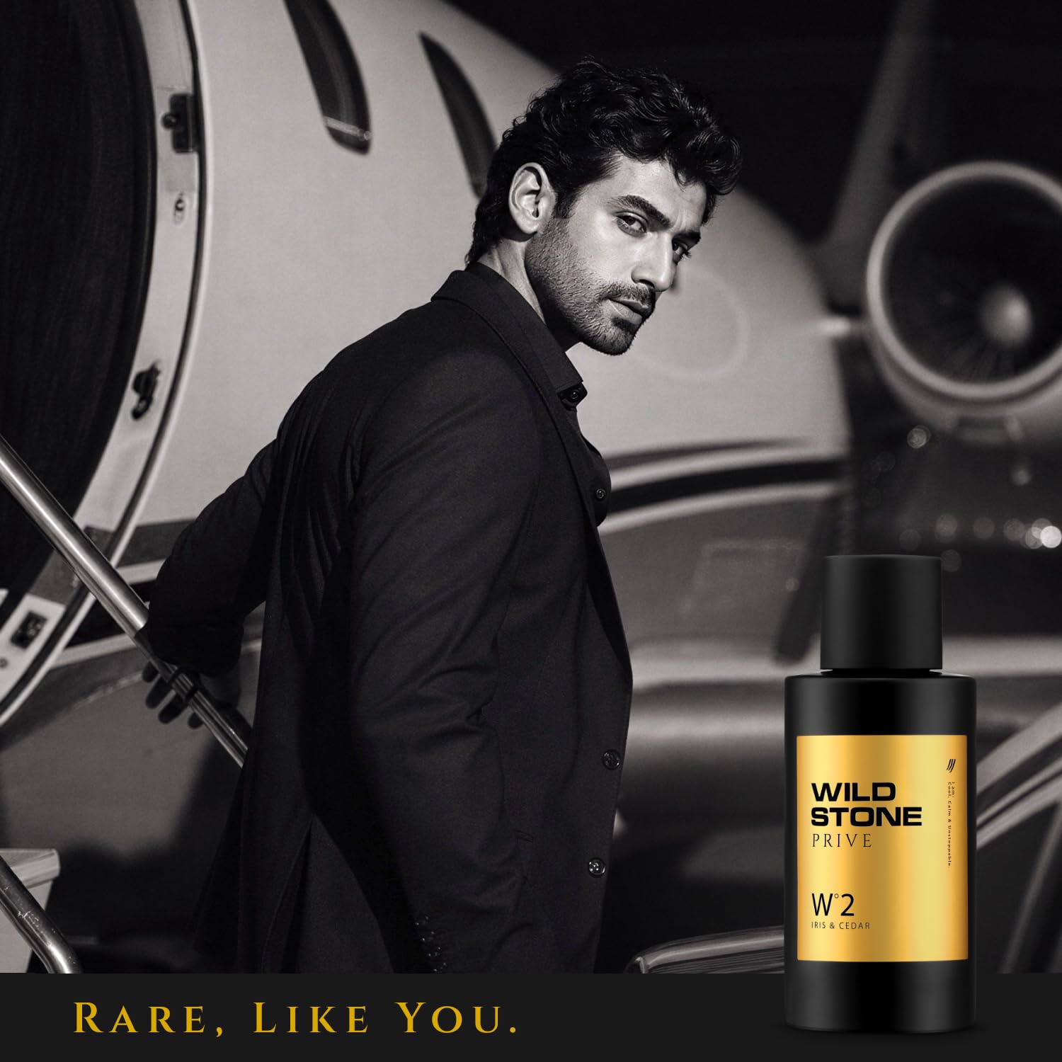 Wild Stone Prive Parfum for Men, 100ml, Over 20% Concentration, McNROE Consumer Products - label detail (22)