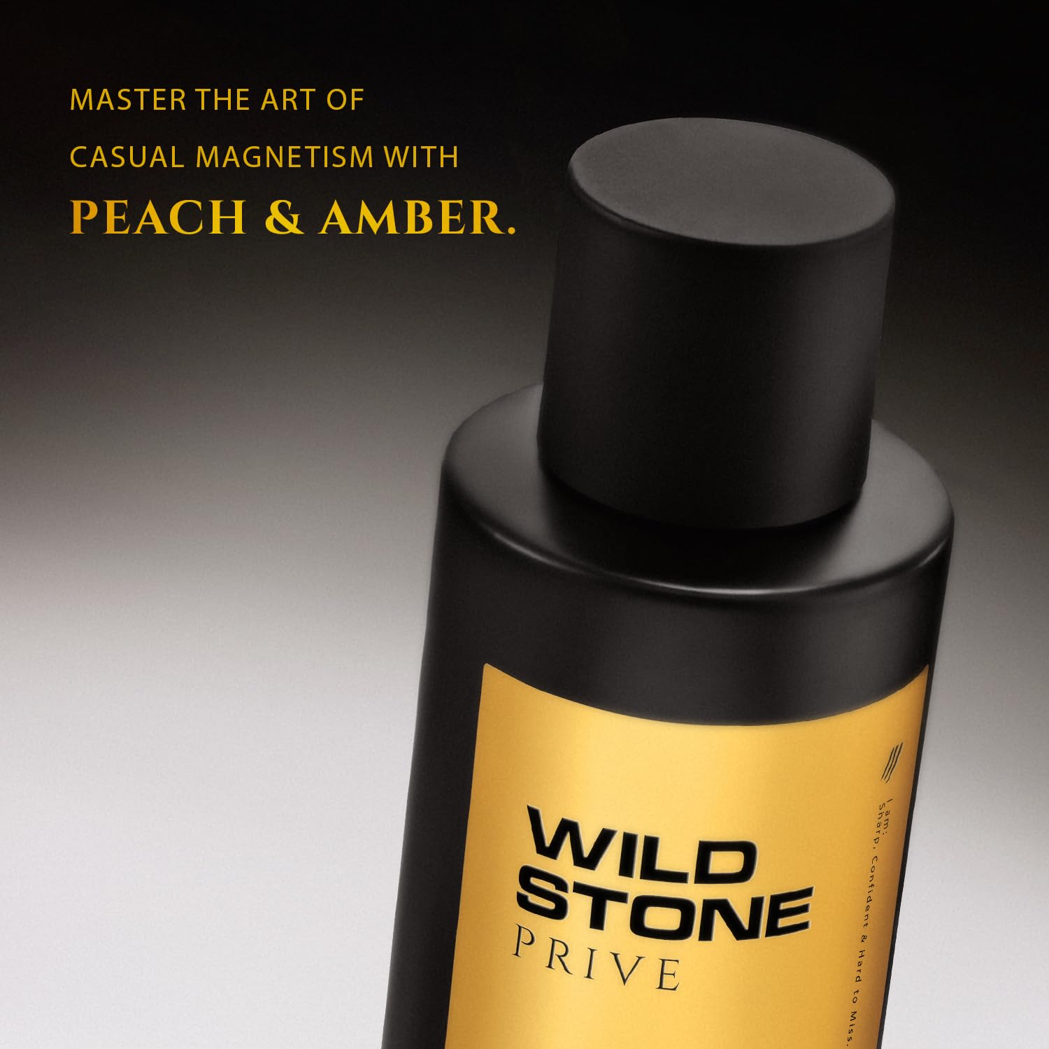 Wild Stone Prive Parfum for Men, 100ml, Over 20% Concentration, McNROE Consumer Products - back view