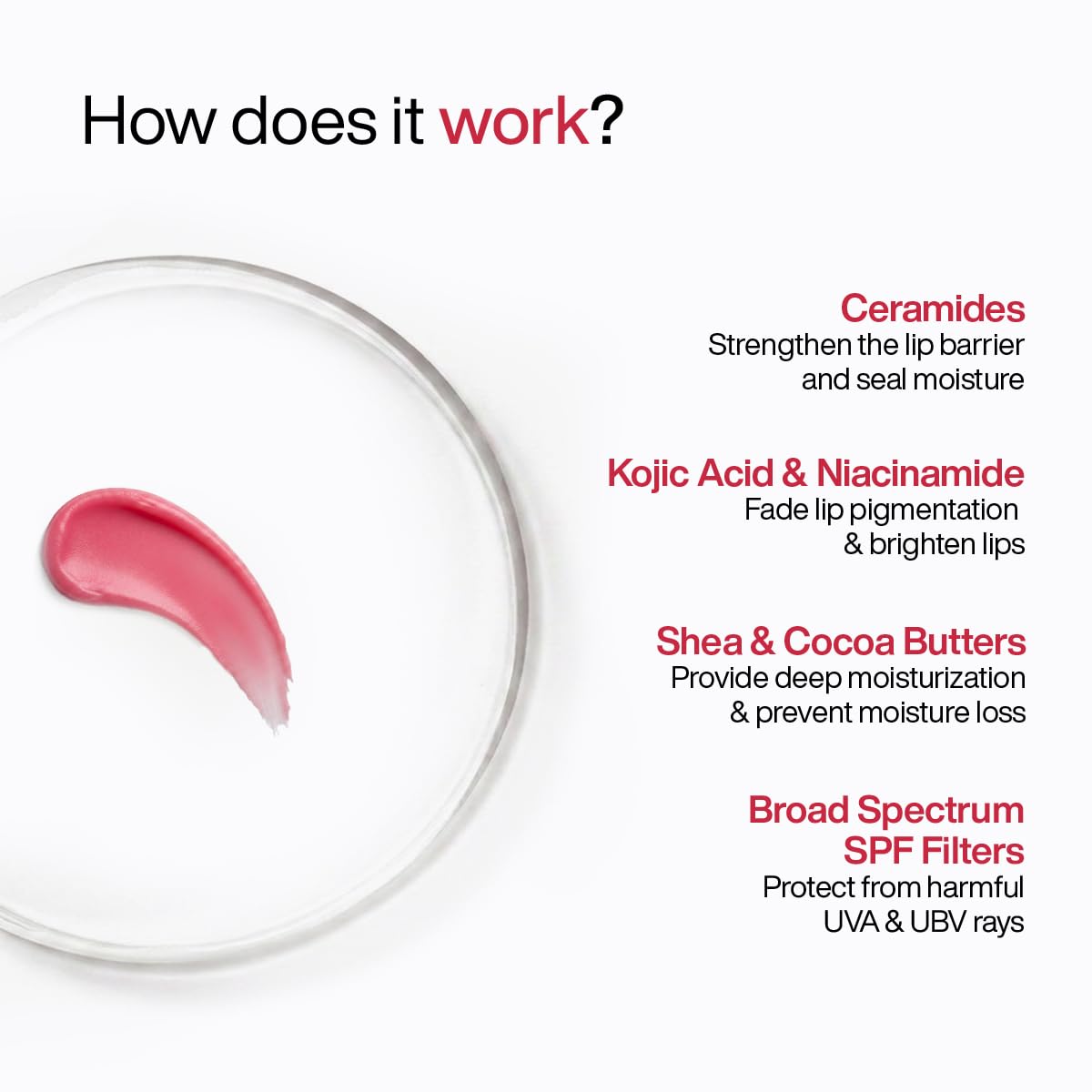 WishCare Lip Balm Combo, Tinted and Untinted, with Kojic Acid & Niacinamide, Hydrating Lip Balm Set - packaging (11)
