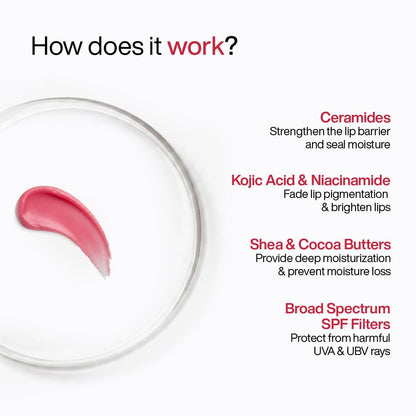 WishCare Lip Balm Combo, Tinted and Untinted, with Kojic Acid & Niacinamide, Hydrating Lip Balm Set - packaging (11)