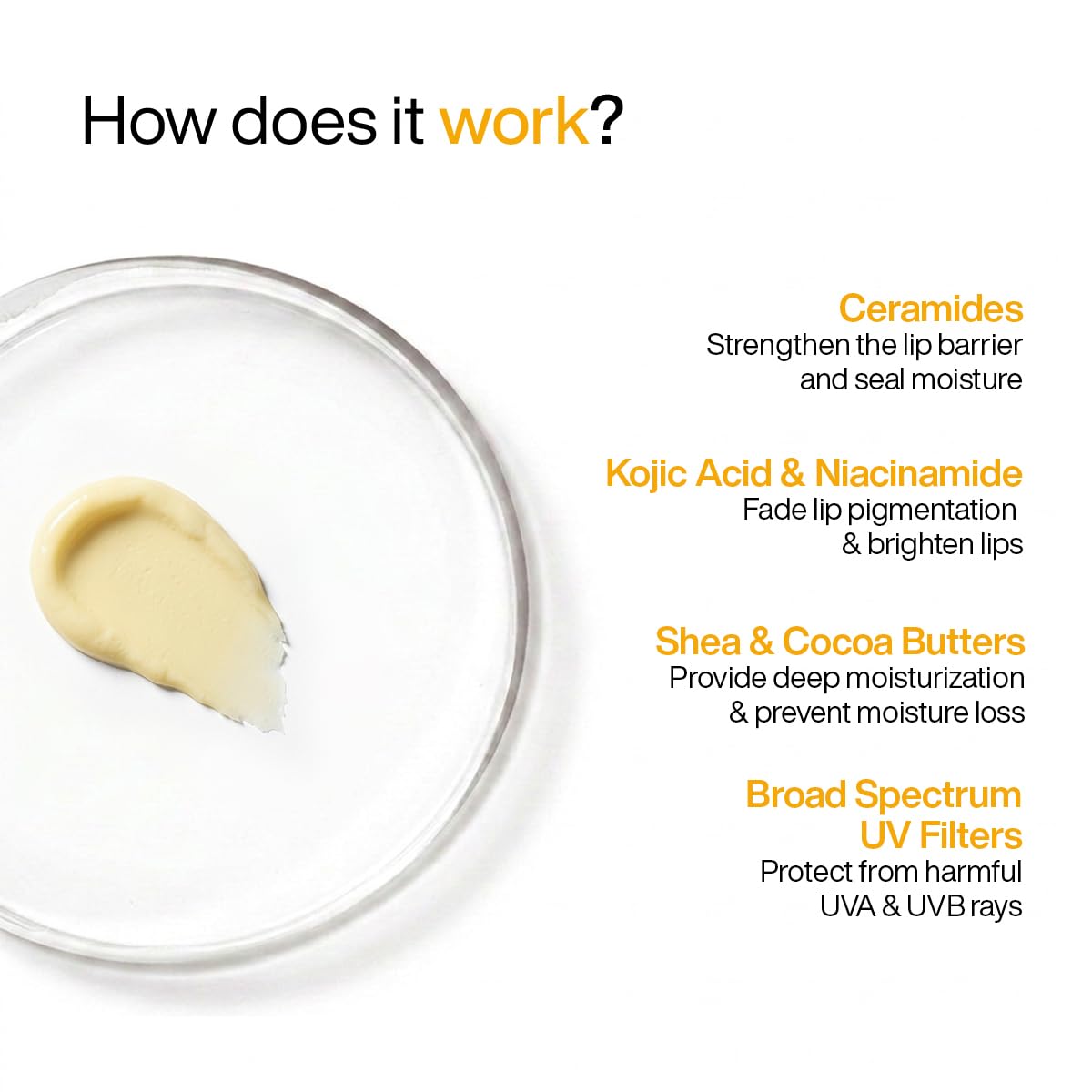 WishCare Lip Balm Combo, Tinted and Untinted, with Kojic Acid & Niacinamide, Hydrating Lip Balm Set - ingredients panel