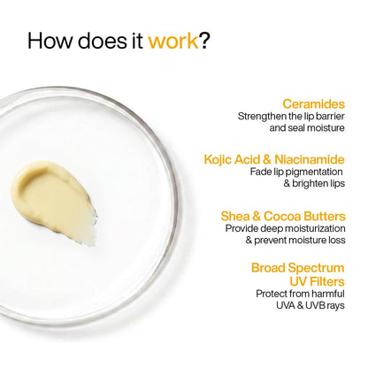 WishCare Lip Balm Combo, Tinted and Untinted, with Kojic Acid & Niacinamide, Hydrating Lip Balm Set - ingredients panel