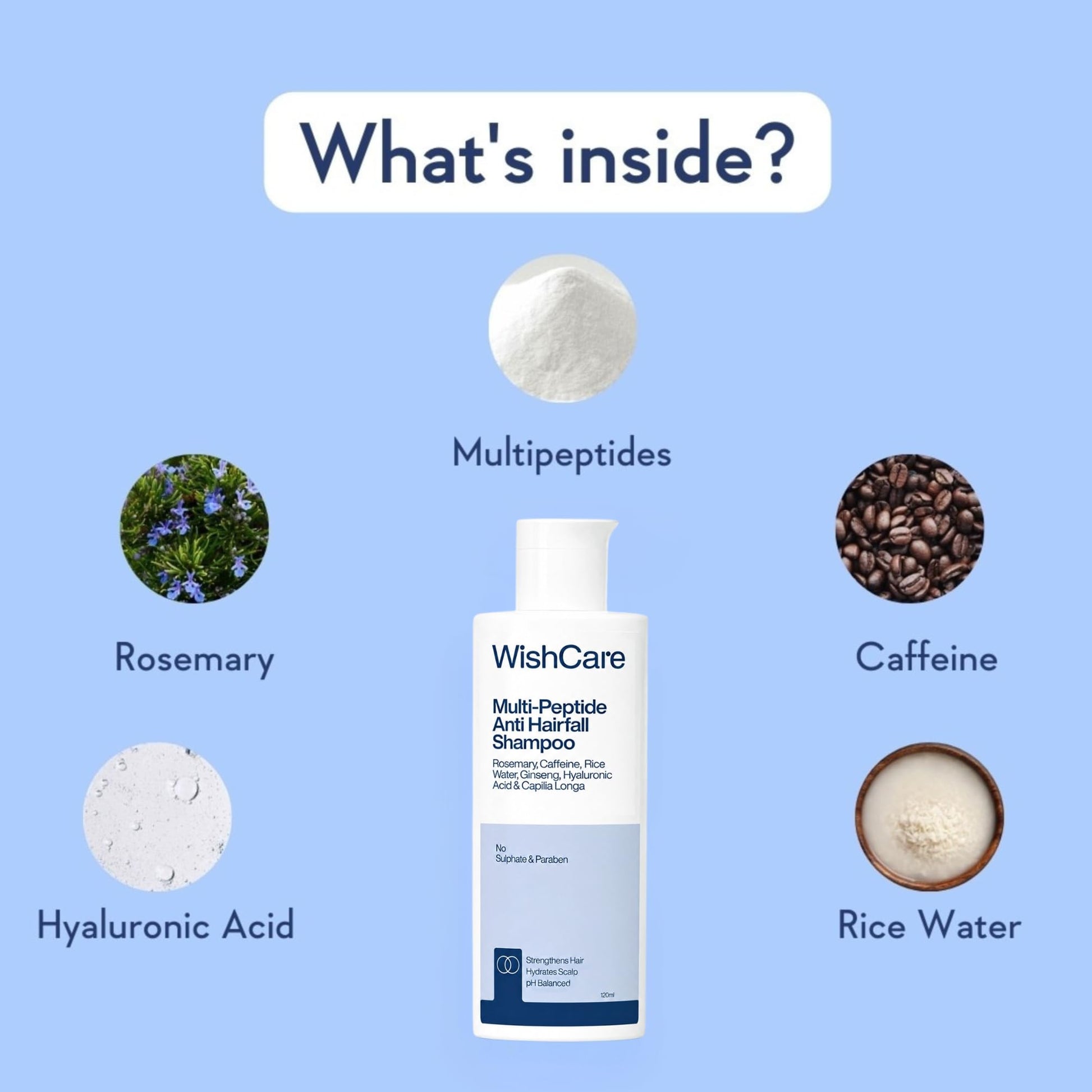 WishCare Multi Peptide Shampoo & Conditioner Combo, with Rice Water Rosemary Hyaluronic Acid Caffeine, Sulfate-Free Paraben-F
