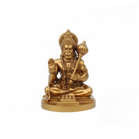 Golden - Medium