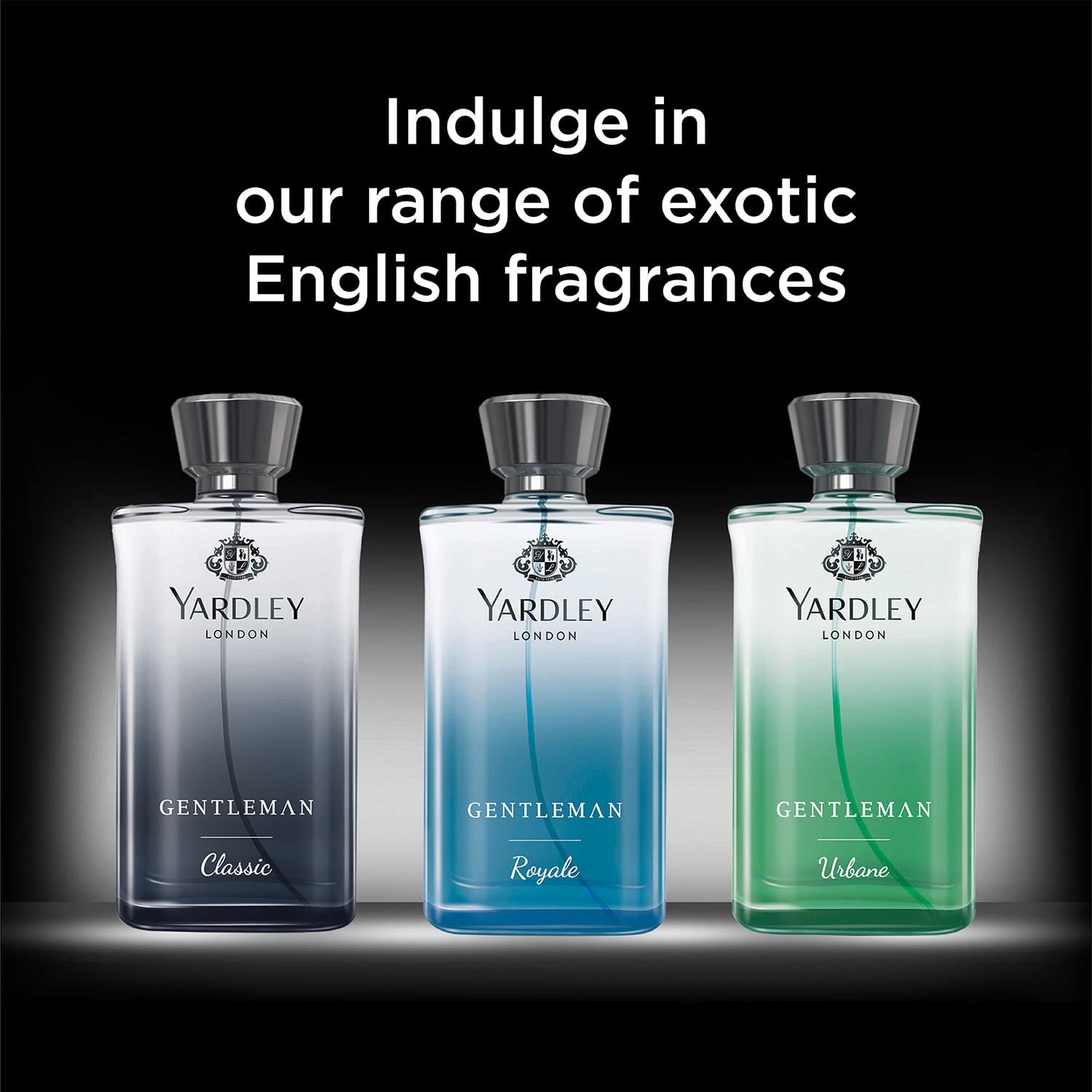 Yardley London Gentleman Royale Perfume for Men 100ml Modern Personal Fragrance - close-up detail