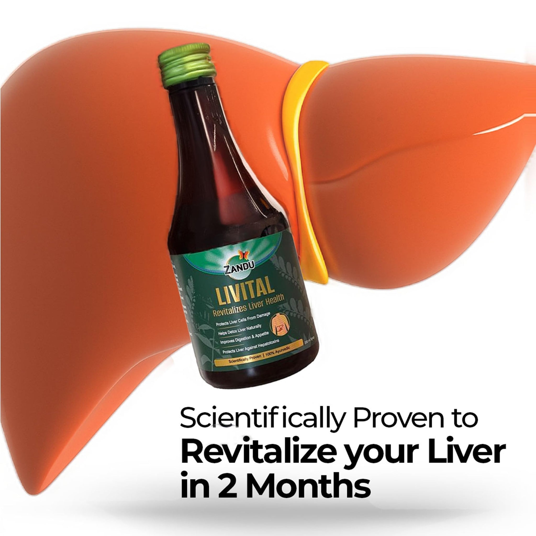 Zandu Livital Adult Herbal Supplement with Guduchi, Bhringaraj, Kalmegh - back view