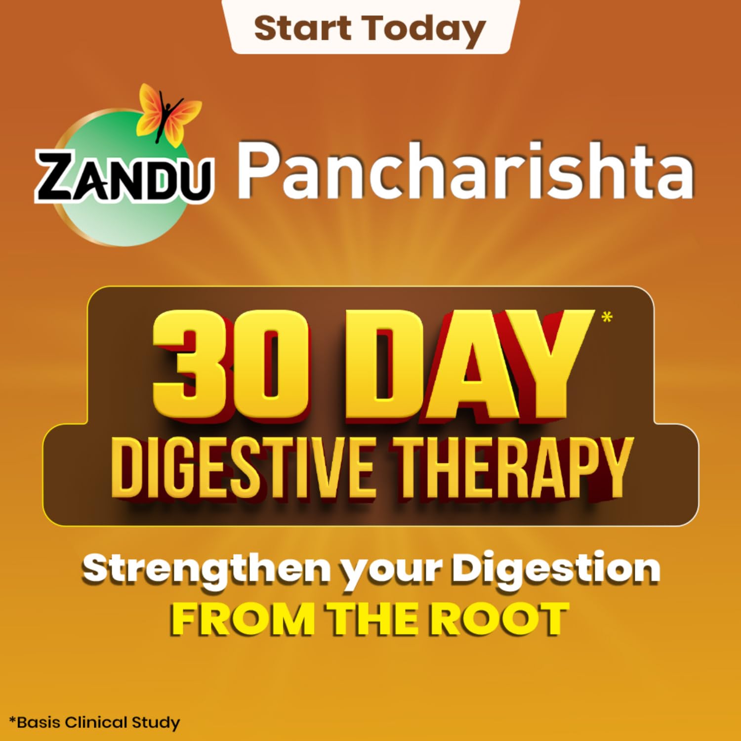 Zandu Pancharishta Ayurvedic Tonic, 35 Herb Formula, Herbal Supplement - back view (12)