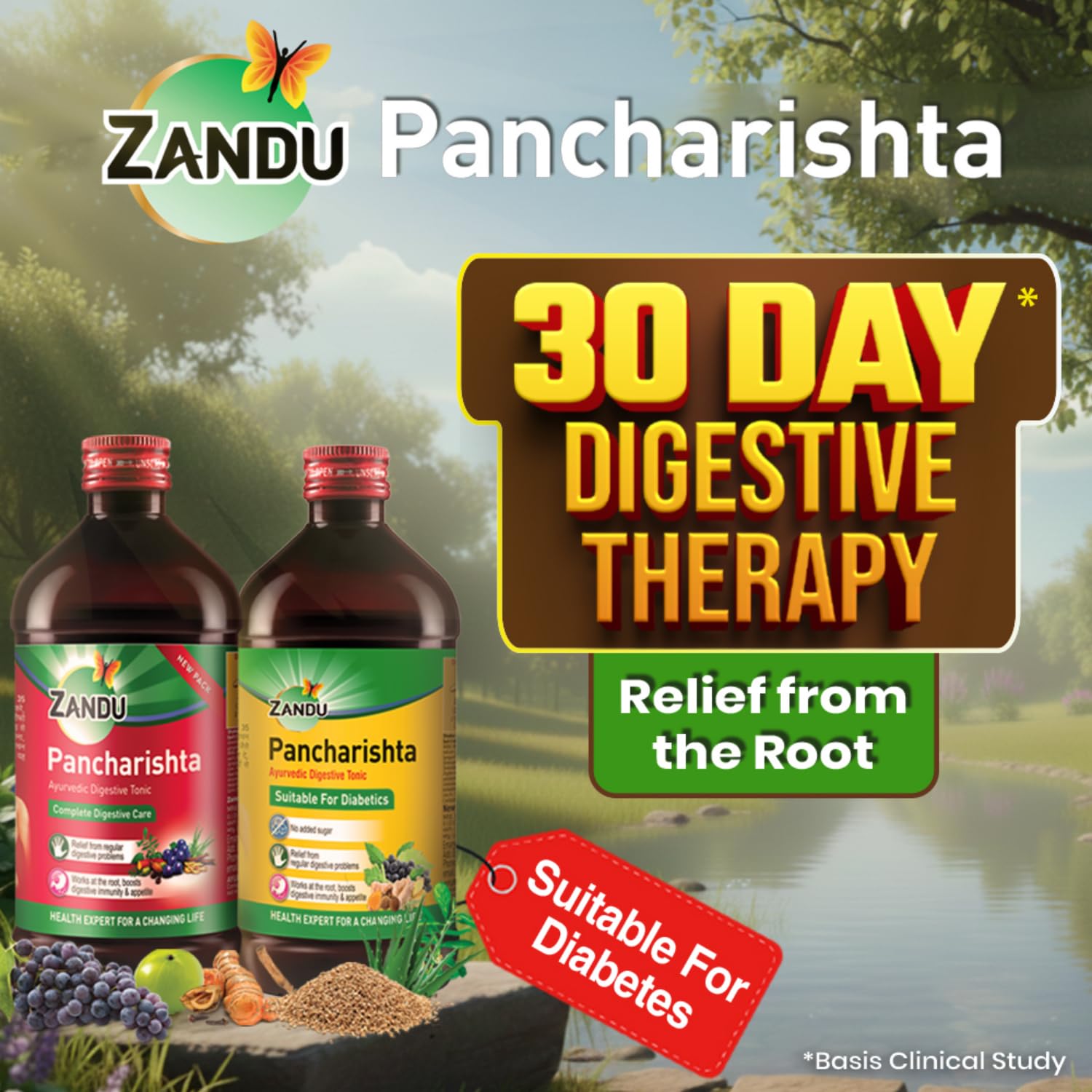 Zandu Pancharishta Ayurvedic Tonic, 35 Herb Formula, Herbal Supplement - in use (17)